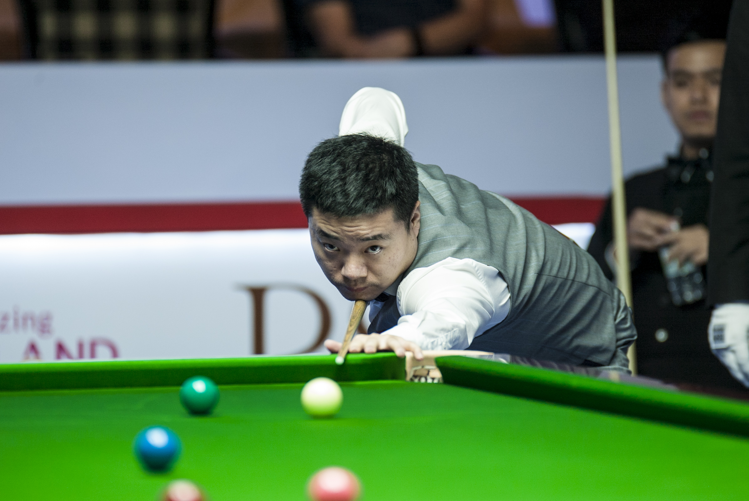 多指打野或 多指打野或